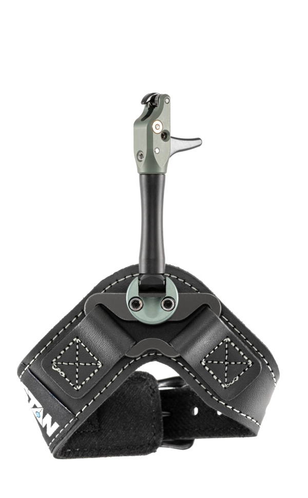 SoleX Index - Image 4